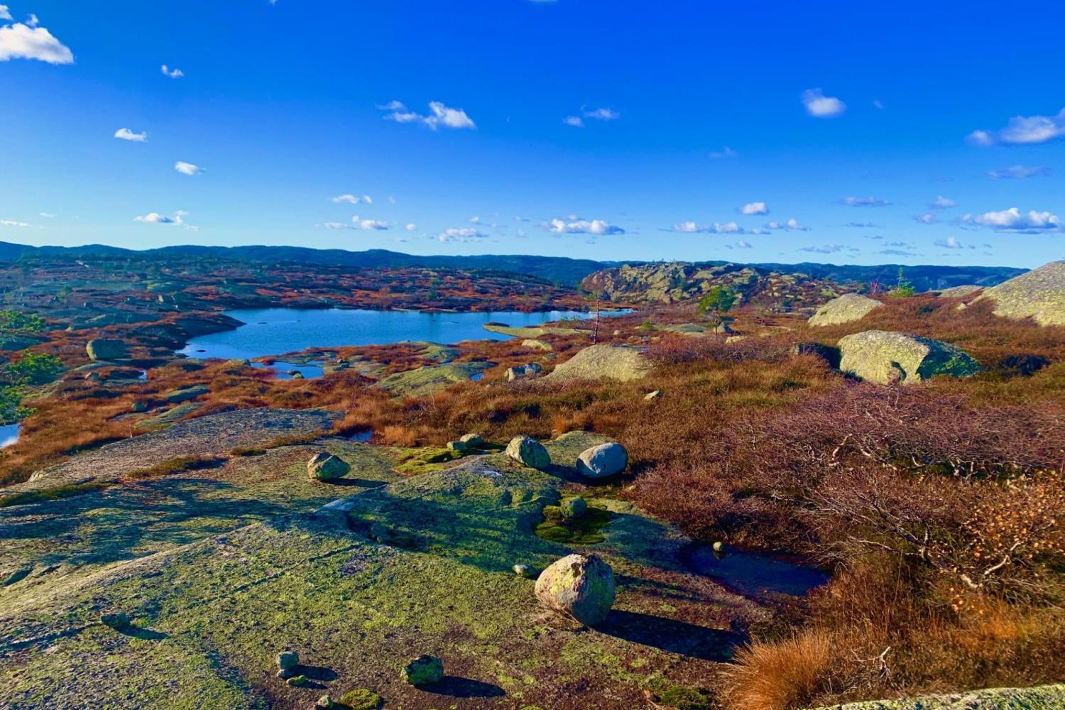 Bilete frå høgfjellet i Åseral